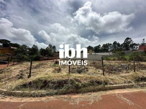 Foto Terreno