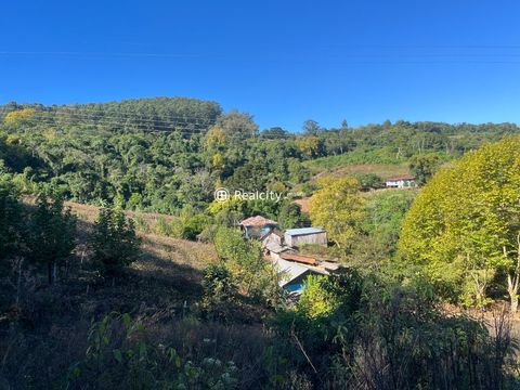Foto Terreno