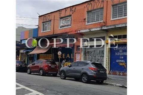 Foto Loja