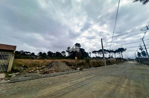 Foto Terreno