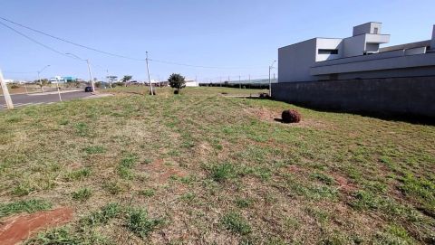 Foto Terreno