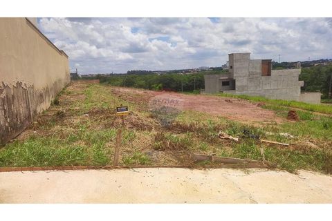 Foto Terreno