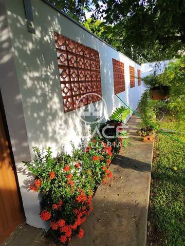 Foto Fazenda / Sítio / Chácara
