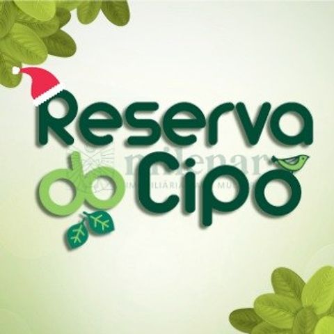 Foto Terreno