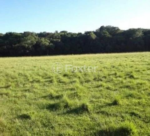 Foto Terreno