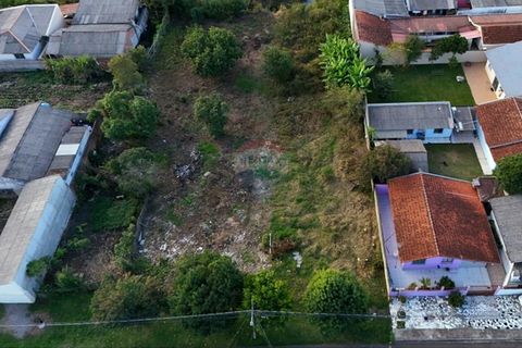 Foto Terreno