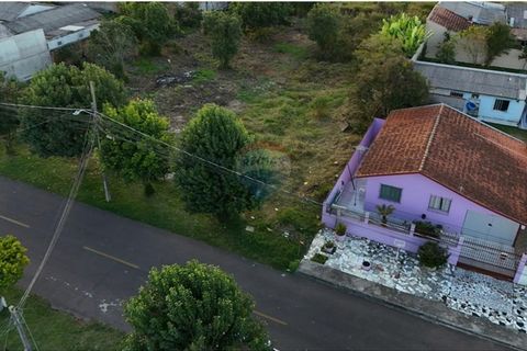 Foto Terreno