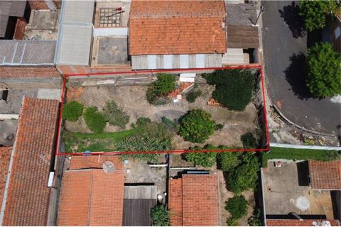 Foto Terreno