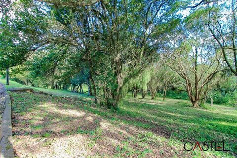 Foto Terreno