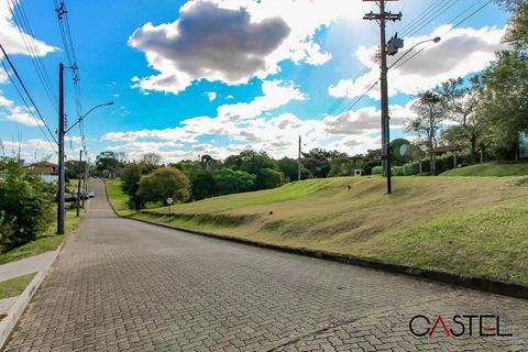 Foto Terreno