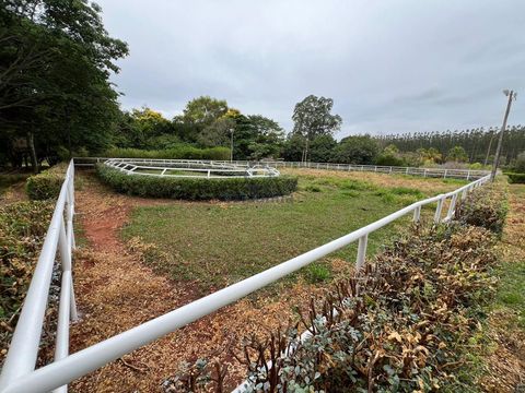 Foto Fazenda / Sítio / Chácara