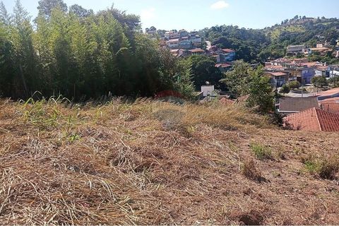 Foto Terreno