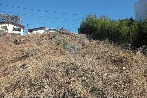 Foto Terreno