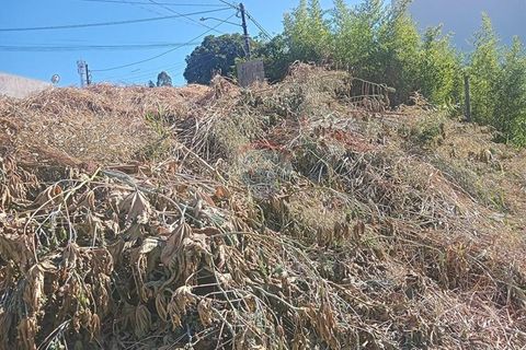 Foto Terreno