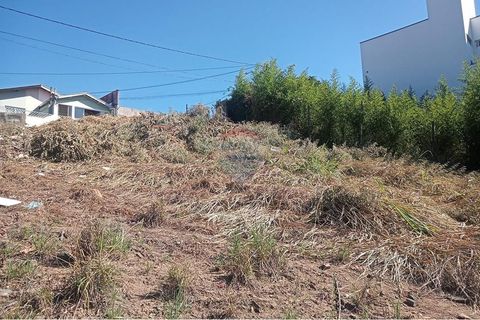 Foto Terreno