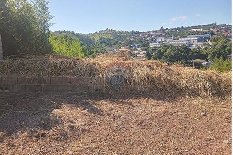 Foto Terreno