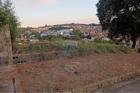 Foto Terreno