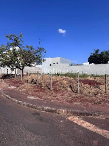Foto Terreno