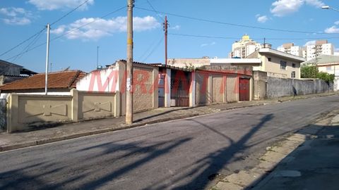 Foto Terreno