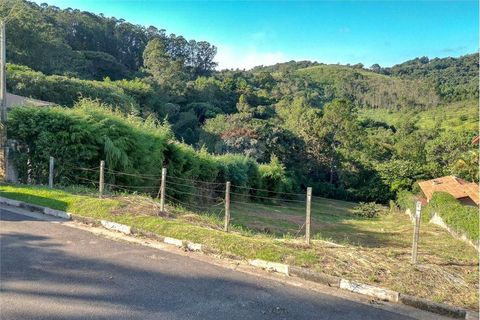 Foto Terreno