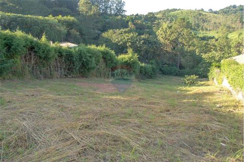 Foto Terreno