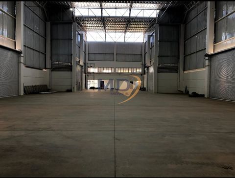 Foto Galpão / Depósito / Armazém / Pavilhão