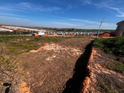 Foto Terreno