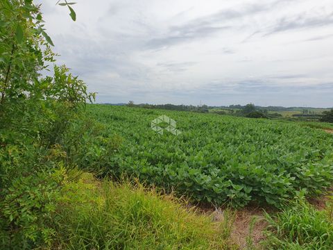 Foto Fazenda / Sítio / Chácara