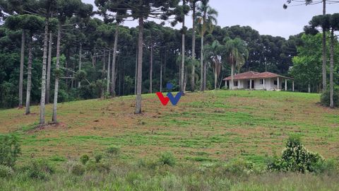Foto Fazenda / Sítio / Chácara