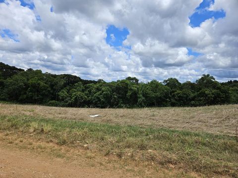Foto Fazenda / Sítio / Chácara