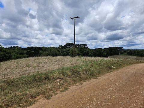 Foto Fazenda / Sítio / Chácara