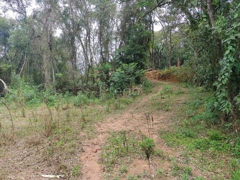 Foto Terreno