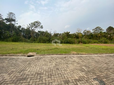 Foto Terreno