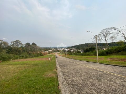 Foto Terreno