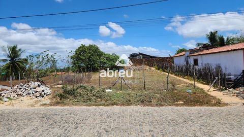 Foto Terreno