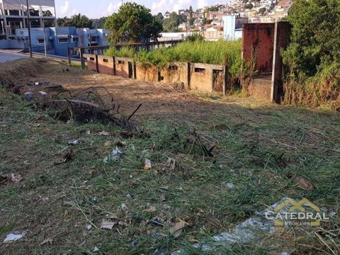 Foto Terreno