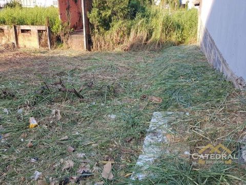Foto Terreno