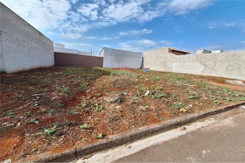 Foto Terreno