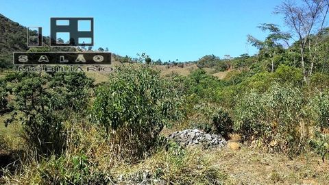 Foto Terreno