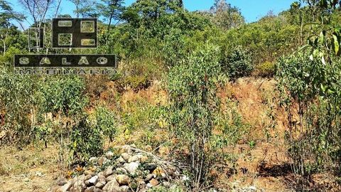Foto Terreno