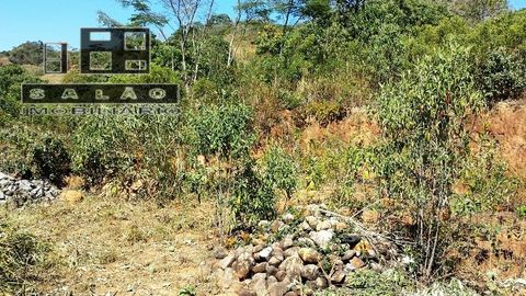 Foto Terreno