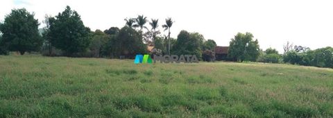 Foto Fazenda / Sítio / Chácara