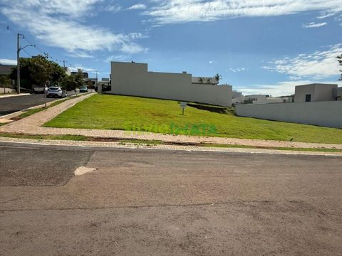 Foto Terreno