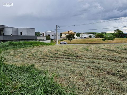 Foto Terreno