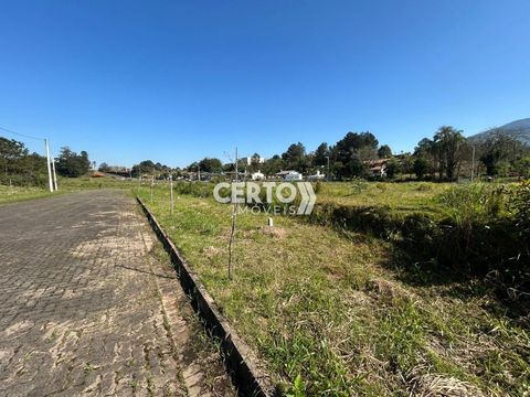 Foto Terreno