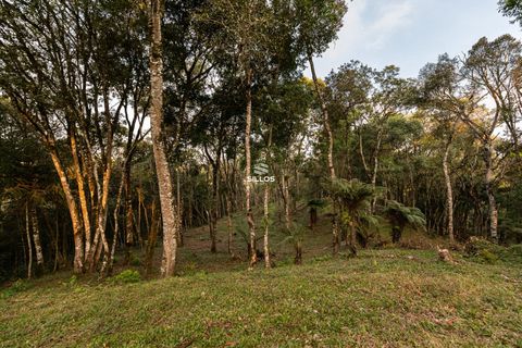 Foto Fazenda / Sítio / Chácara