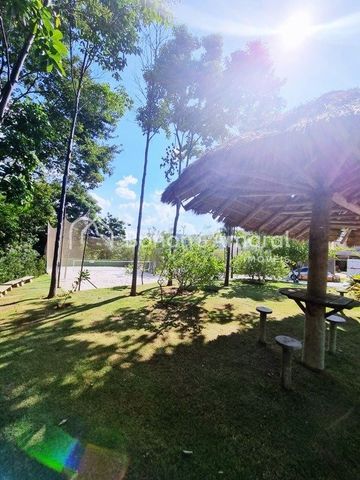 Foto Terreno