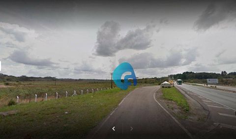 Foto Terreno