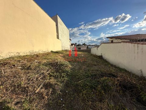 Foto Terreno