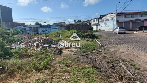 Foto Terreno